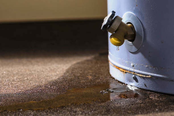 Best Flood restoration services  in Livermore, CA