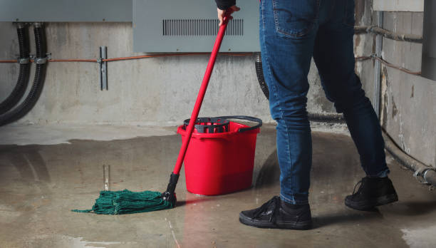 Best Mold removal after water damage  in Livermore, CA