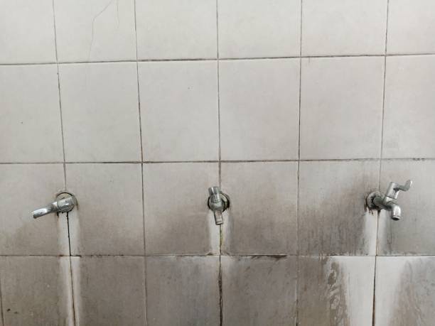 Best Water damage contractors near me  in Livermore, CA