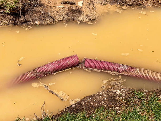 Best Flood restoration services  in Livermore, CA