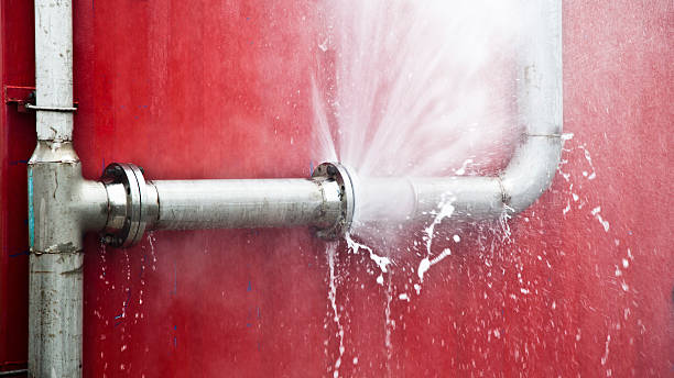 Best Carpet water damage restoration  in Livermore, CA